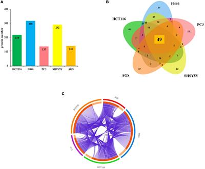 Characterization of the interactome profiling of Mycoplasma fermentans DnaK in cancer cells reveals interference with key cellular pathways